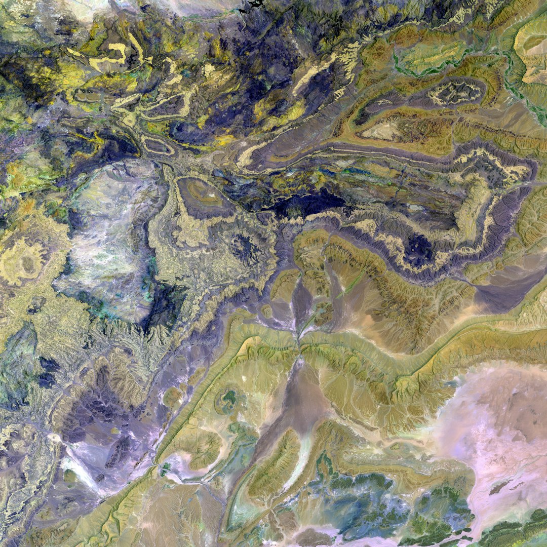 Performance Analytics Dashboard